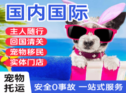 和田空运代理国际宠物托运 【国